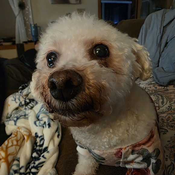 ๐ฆ ABOUT ME ๐ฆ โจ JEWELRY โจ - Picture 6 of 16